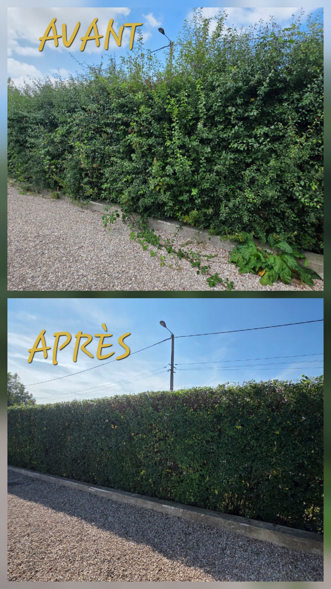 Taille de haies à Boulogne-sur-Mer Taille de haies à Boulogne-sur-Mer